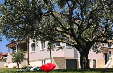 APARTMENTS MELISA - Foto 4