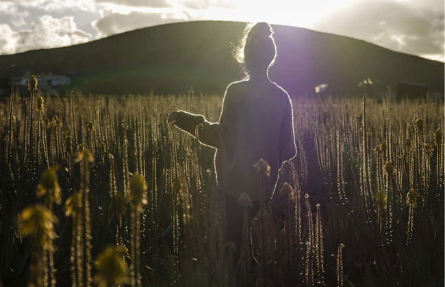 Aloe Vera Farm Tour - Foto 1