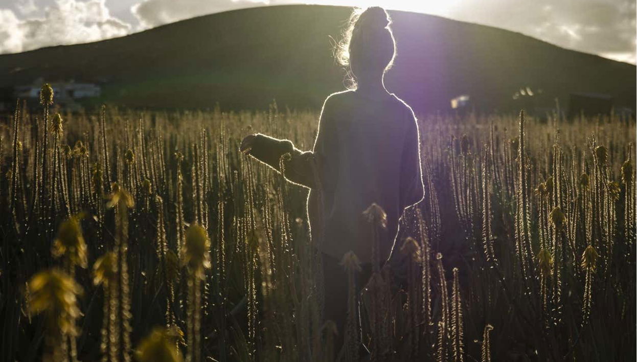 Aloe Vera Farm Tour - Foto 1