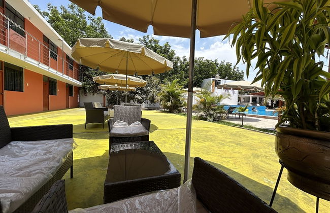 Ica adventures out of the woods - Photo 6