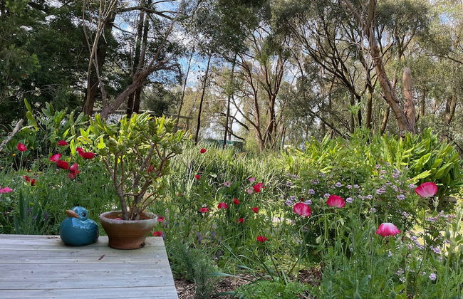 Tindoona Cottages - Foto 50