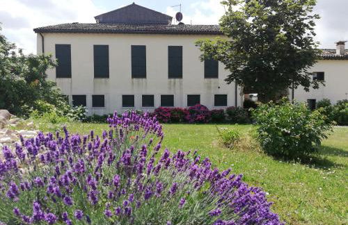 Corte Monticello - Foto 13