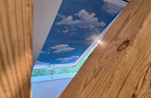 Sielanka Wydmy i Las - Foto 54