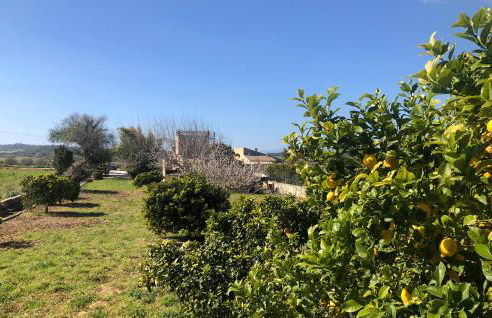 Son Roig ,Beautiful Place in the Heart of Mallorca -ETV 9979 - Foto 37