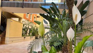 Jardines de Denia 24 - Foto 4