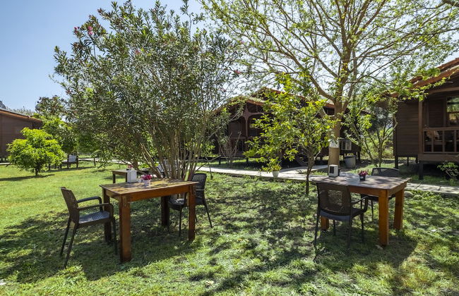 La Maison Hotel Çıralı - Foto 27