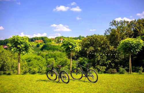 Adalia House Medimurje Private Wellness Nature View & Wine Region - Foto 5