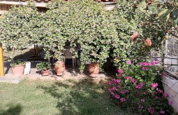 Nice house in Euboea - Foto 42