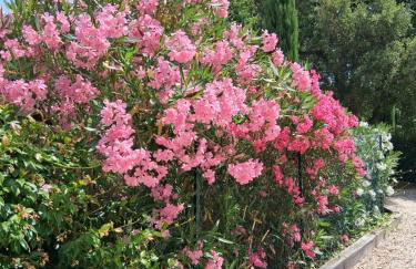Rez de Jardin d'une Bastide VILLA LA GARDI avec Piscine privée - Foto 32