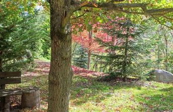 Les Pedres - Foto 61