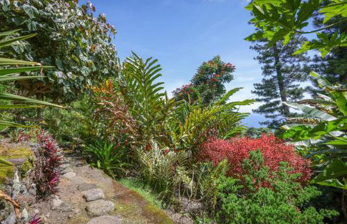 Hale Mauka - Foto 37