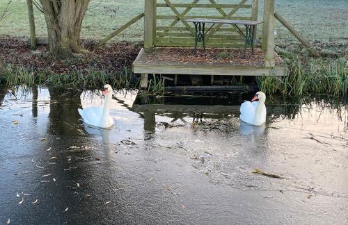 Danielle’s den - Foto 26