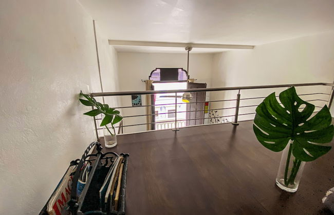 Gladiolas 2201 - Foto 13