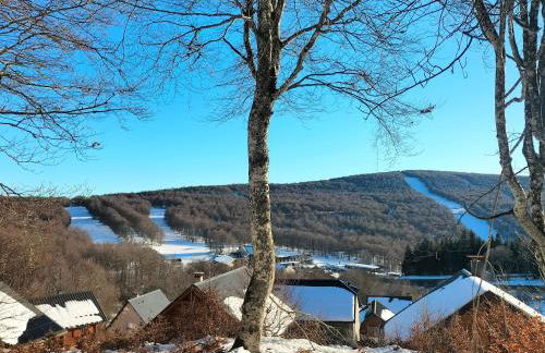 T2 avec piscine-Le family 67 - Photo 37