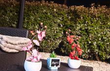 Résidence privée avec piscine à Bonifacio - Foto 41