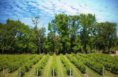 Blue Jay Cottage - Pittsburg Studio on Winery! - Foto 19