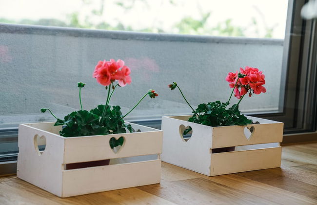 Apartments Bazar - Foto 41