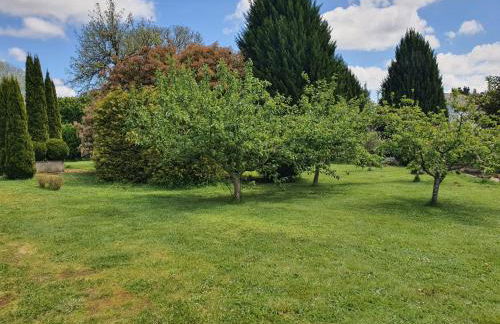 PORTA ESPERANZA - Foto 26