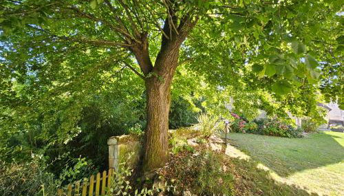 Le Bry de 10 à 14 personnes - Foto 3, Garden, Garden view