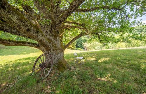 Pétillant Chalet aux 3 étangs avec SPA, Sauna et Véranda - Foto 39