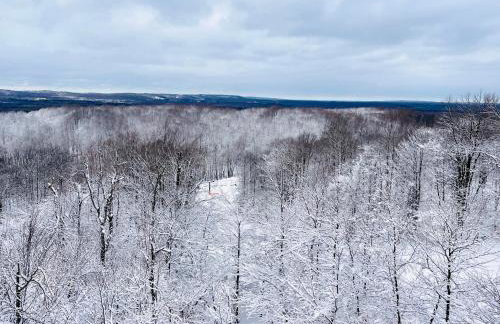 Bay Point Hideaway in the Woods - Foto 61