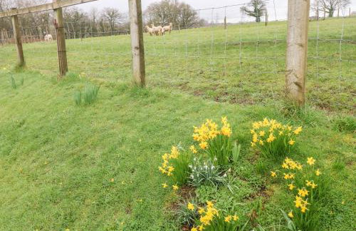 The Barn at Harrolds Farm - Foto 30