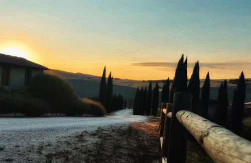 Podere Le Volpaie - Arancia - Foto 35