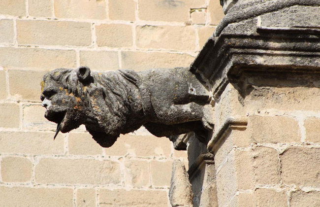 Jerez Private Tour - Foto 2