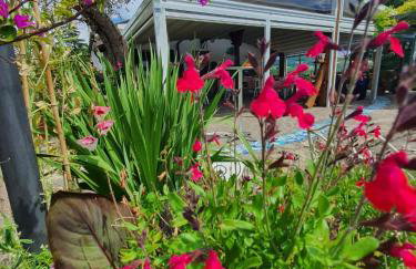 Re Piano appartamento I Fiori - Photo 3