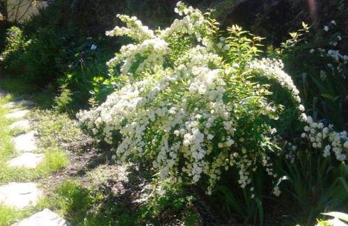 Charming House Terrace Amarante - Foto 52
