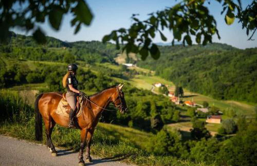 Kuća sa apartmanima Šemnica - za odmor i proslave! - Photo 55