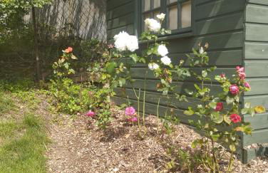 Gîte Au Bord de la Baie de Somme - Foto 23