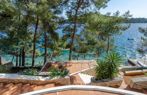 Pine Tree Apartment Zanetic - Photo 33