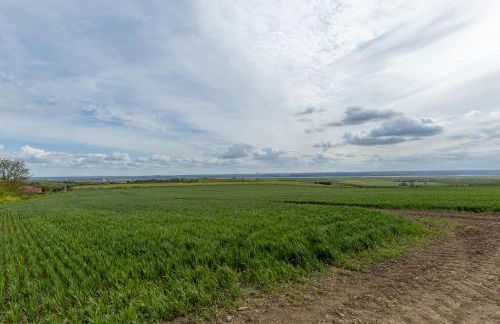 IRO Properties Limited - Foto 20