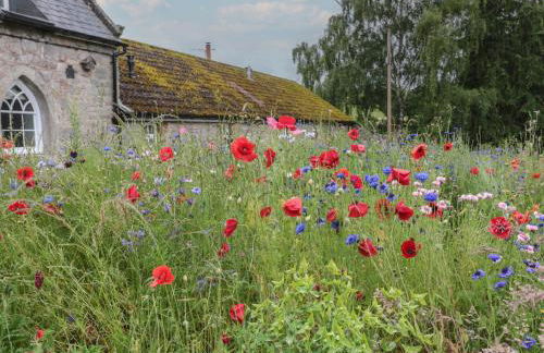 Honeysuckle Cottage - Foto 27