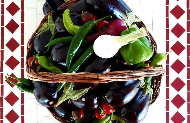 Masseria Costarella - Photo 49