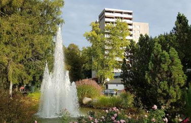 Ferienwohnung Vogelnest im Schwarzwald - Foto 31