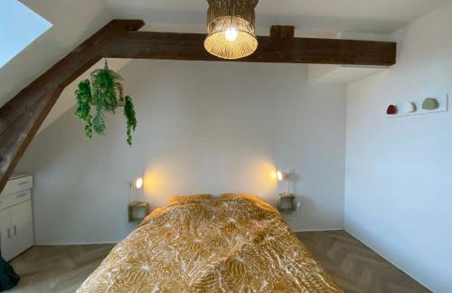 Maison avec jardin Orléans métropole - Photo 34