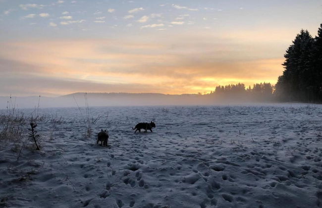 Tranquil Escape in Rauschenbach - Foto 30