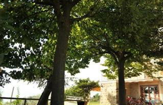 Il Casale Di Mario - Foto 9