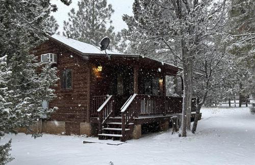 Western theme! Amazing Spa, Fireplace and Deck! - Foto 26