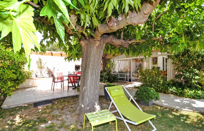 Les Angevines - Foto 43