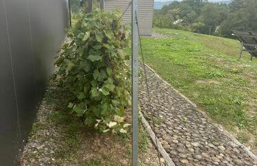 Apartament D&D - Foto 15