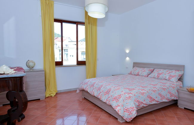 Sofia flora - Photo 20