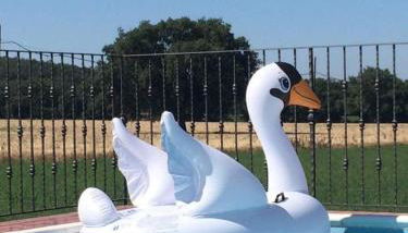 Agriturismo Oasi del Pianettino - Foto 5