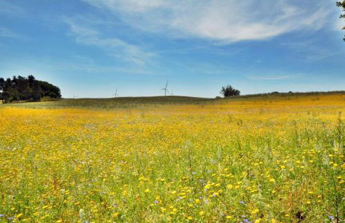 Comfortable holiday home, sauna hot tub included - Foto 30