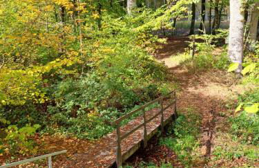 Steewer Landhaus gemütliche Ferienwohnung bis 6 Pers in ruhiger Ortsrandlage - Foto 46
