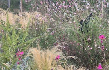 Casa Limonina - Foto 72