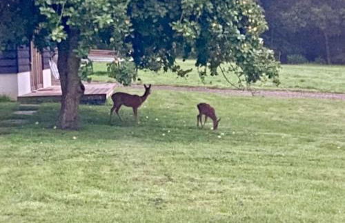 Secluded Countryside Home, Hot Tub, Onsite Pub, Pool Table, Sleeps upto 13, Perfect for a family get together - Photo 8