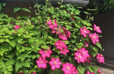 Villa Nardelli - Foto 18